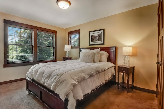 860 Prairie Meadows Dr, Hudson, WI 54016 - carpeted bedroom with baseboards
