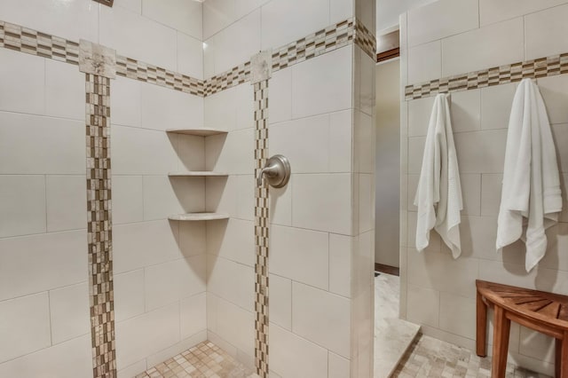 860 Prairie Meadows Dr, Hudson, WI 54016 - bathroom with a tile shower