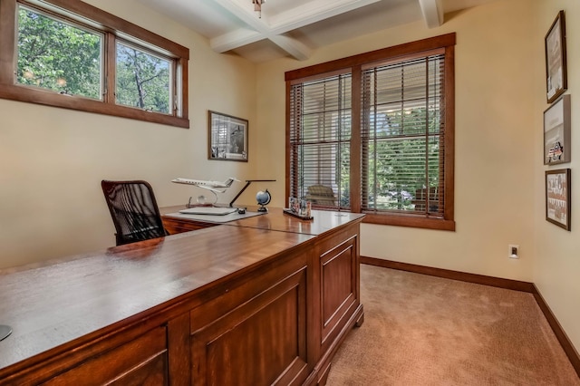 860 Prairie Meadows Dr, Hudson, WI 54016 - home office featuring beam ceiling, coffered ceiling, and light colored carpet