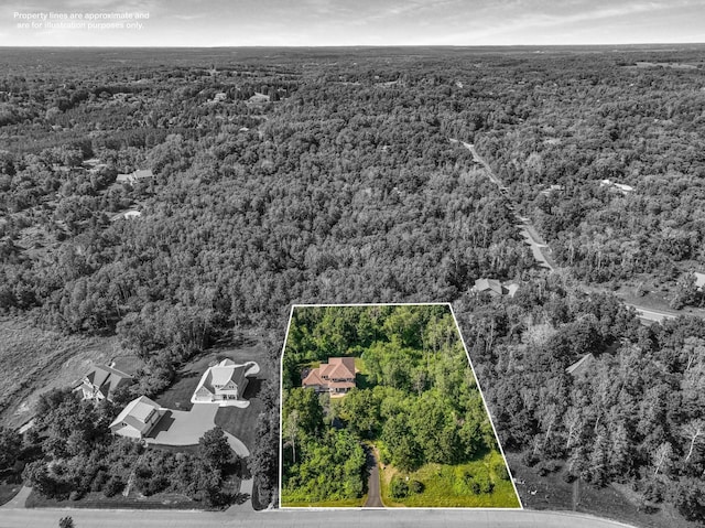 860 Prairie Meadows Dr, Hudson, WI 54016 - aerial view of property's location with a heavily wooded area and property parcel outlined