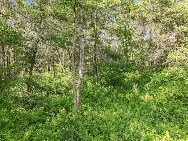 860 Prairie Meadows Dr, Hudson, WI 54016 - view of tree filled area