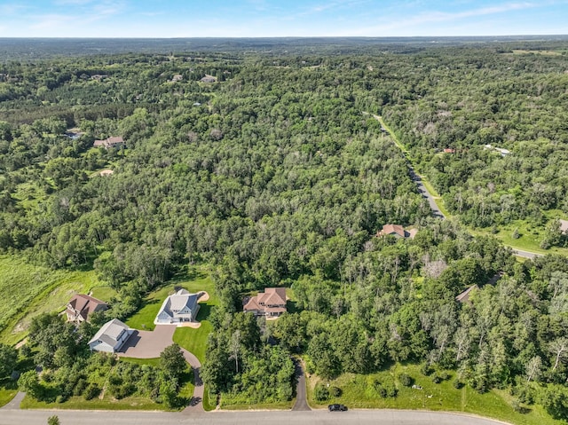 860 Prairie Meadows Dr, Hudson, WI 54016 - aerial overview of property's location with a forest