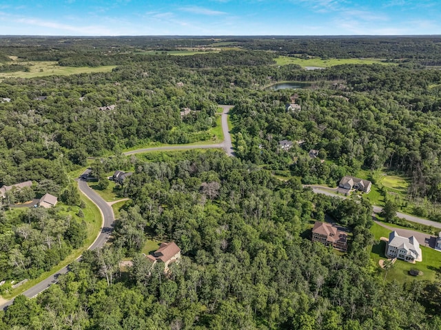 860 Prairie Meadows Dr, Hudson, WI 54016 - aerial view of property and surrounding area with a forest and a large body of water