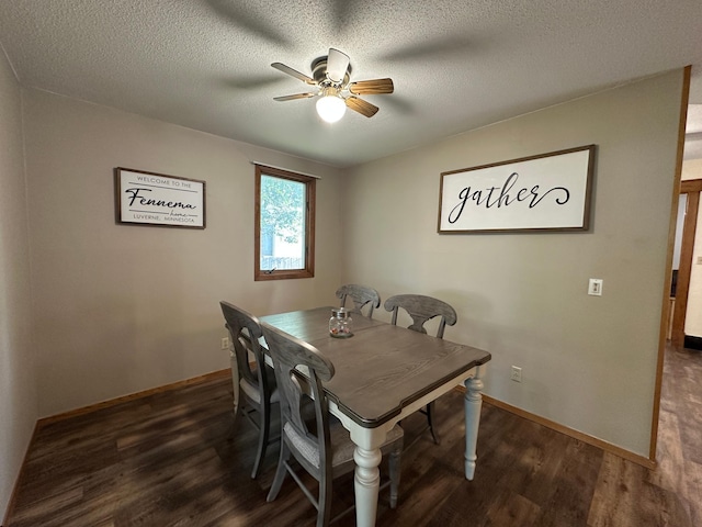 121 Park St, Luverne, MN 56156 - dining room with ceiling fan, dark wood-type flooring, and a textured ceiling
