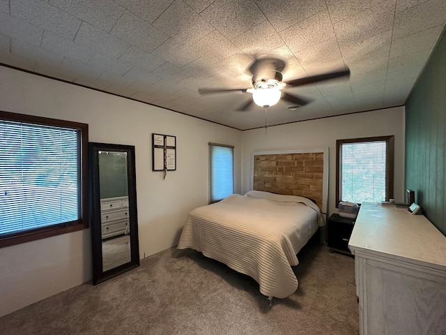 121 Park St, Luverne, MN 56156 - bedroom featuring light colored carpet, multiple windows, and ceiling fan