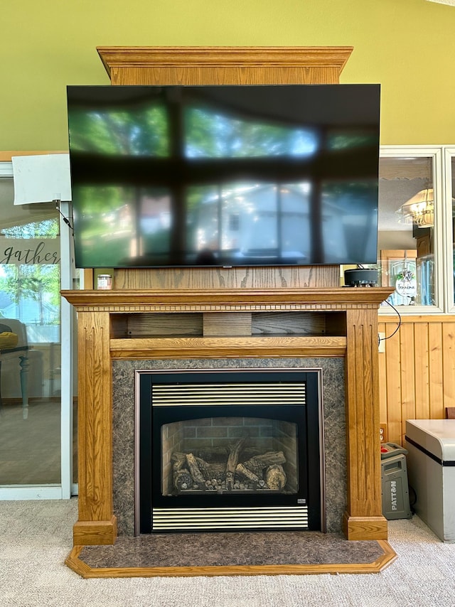 121 Park St, Luverne, MN 56156 - detailed view of carpet floors and a fireplace