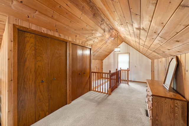 5924 10th Ave S, Minneapolis, MN 55417 - bonus room featuring carpet floors, vaulted ceiling, wood ceiling, and wood walls