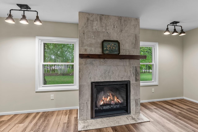 27900 Old Towne Rd, Chisago City, MN 55013 - detailed view of wood finished floors and a tiled fireplace