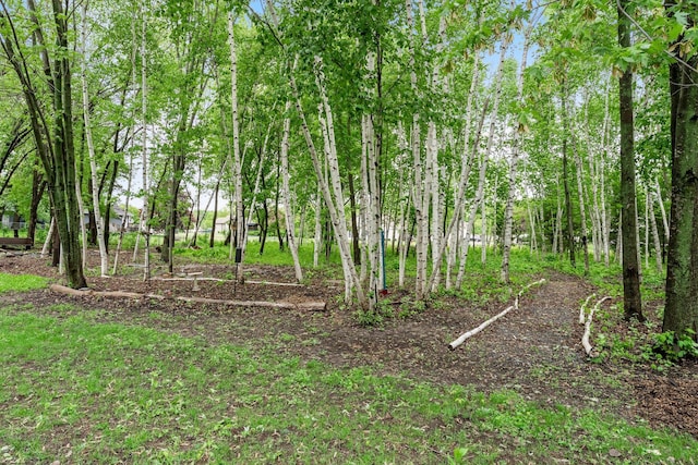 27900 Old Towne Rd, Chisago City, MN 55013 - view of local wilderness