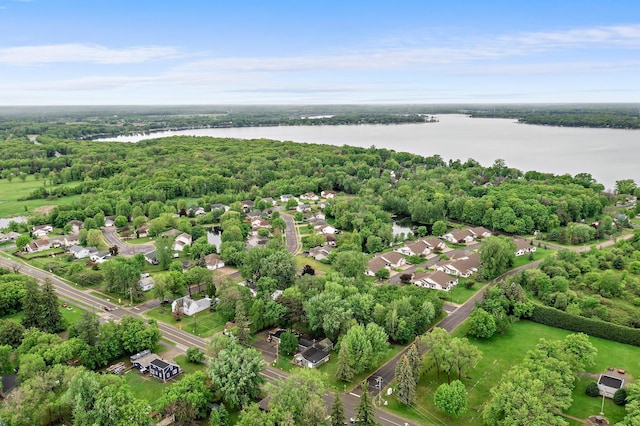 27900 Old Towne Rd, Chisago City, MN 55013 - drone / aerial view of a large body of water and a heavily wooded area