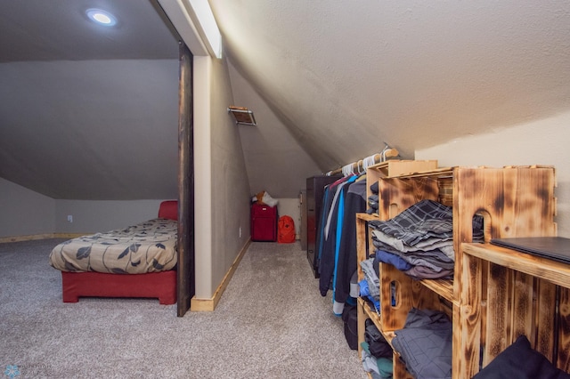 1514 1st Ave S, Fargo, ND 58103 - spacious closet featuring vaulted ceiling and carpet floors
