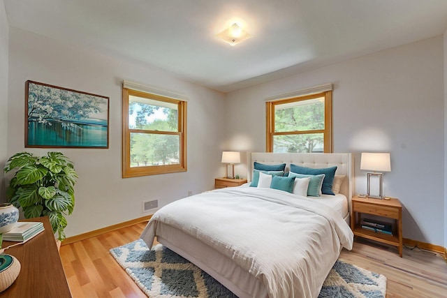 1636 9th Ave NE, Rochester, MN 55906 - bedroom with multiple windows and light wood-style flooring