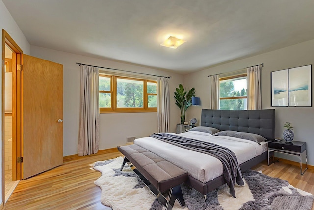 1636 9th Ave NE, Rochester, MN 55906 - bedroom with multiple windows and light wood-style floors