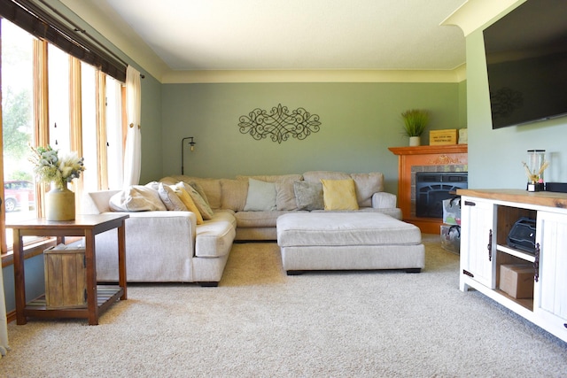 16014 240th St, Cold Spring, MN 56320 - carpeted living area with a tile fireplace
