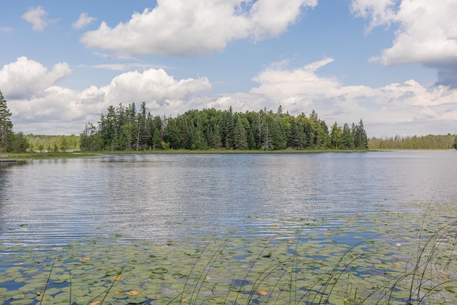 2018 County 5 NW, Hackensack, MN 56452 - water view with a heavily wooded area