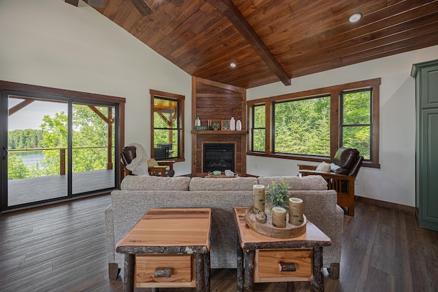 2018 County 5 NW, Hackensack, MN 56452 - living room with wooden ceiling, plenty of natural light, a glass covered fireplace, and dark wood-style floors