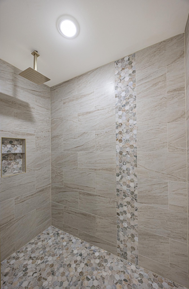 2018 County 5 NW, Hackensack, MN 56452 - full bath with tiled shower