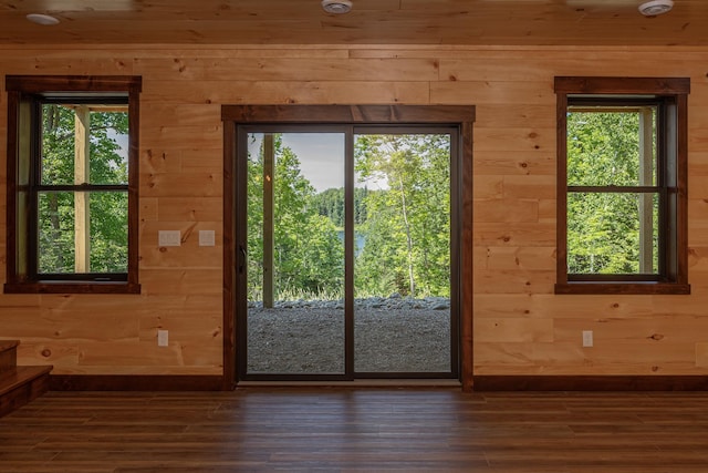 2018 County 5 NW, Hackensack, MN 56452 - doorway featuring wooden walls, dark wood-style flooring, and plenty of natural light