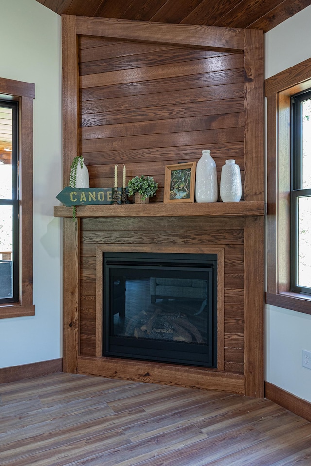 2018 County 5 NW, Hackensack, MN 56452 - detailed view of a glass covered fireplace and wood finished floors