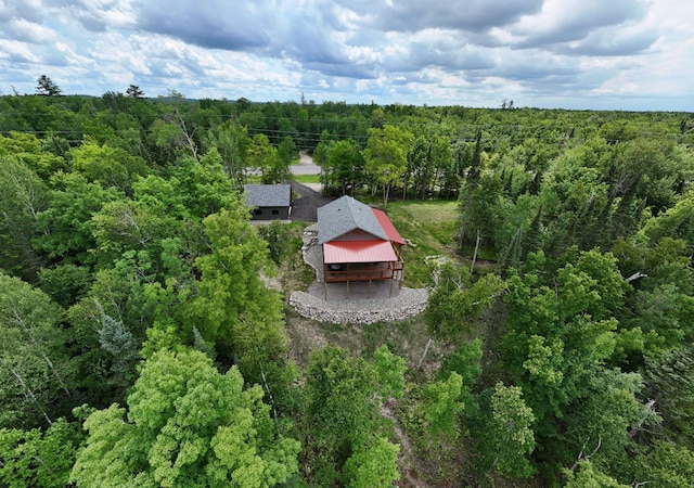 2018 County 5 NW, Hackensack, MN 56452 - view of subject property featuring a forest