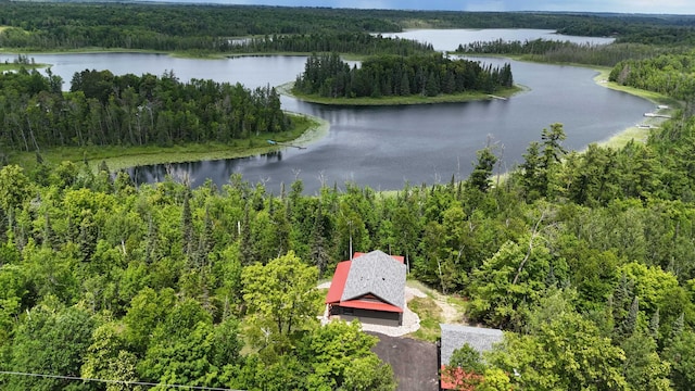2018 County 5 NW, Hackensack, MN 56452 - drone / aerial view of a forest and a nearby body of water