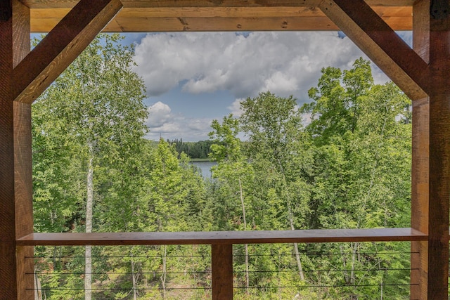 2018 County 5 NW, Hackensack, MN 56452 - water view featuring a heavily wooded area