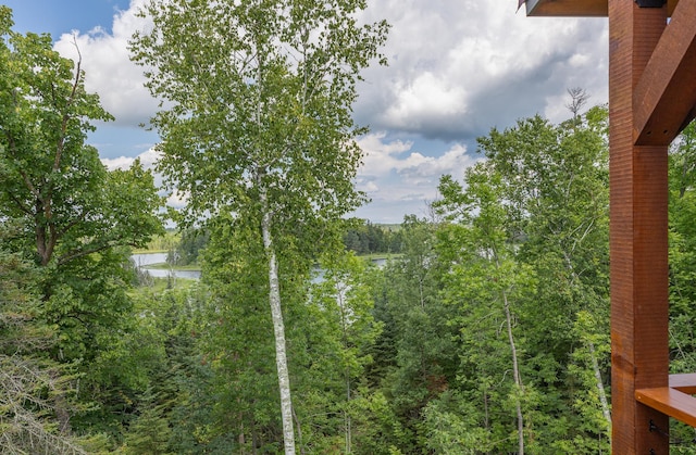2018 County 5 NW, Hackensack, MN 56452 - view of yard with a water view