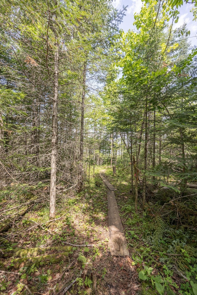 2018 County 5 NW, Hackensack, MN 56452 - view of local wilderness