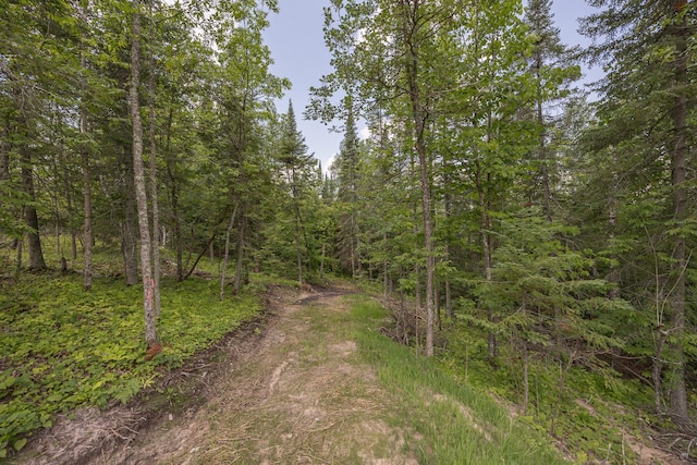 2018 County 5 NW, Hackensack, MN 56452 - view of dirt / gravel road featuring a view of trees