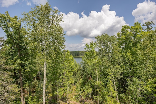 2018 County 5 NW, Hackensack, MN 56452 - water view featuring a forest