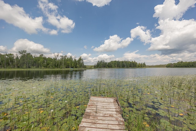 2018 County 5 NW, Hackensack, MN 56452 - dock featuring a water view