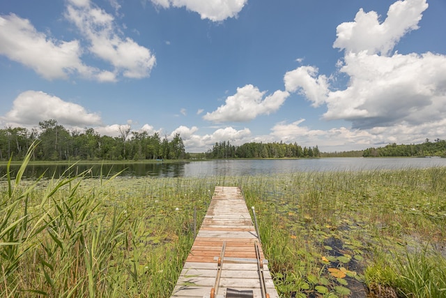 2018 County 5 NW, Hackensack, MN 56452 - dock featuring a water view