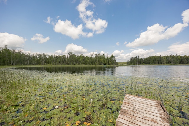 2018 County 5 NW, Hackensack, MN 56452 - dock area with a forest view and a water view