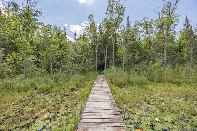 2018 County 5 NW, Hackensack, MN 56452 - dock area featuring a wooded view