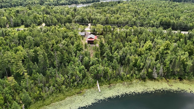 2018 County 5 NW, Hackensack, MN 56452 - bird's eye view of a forest and a large body of water