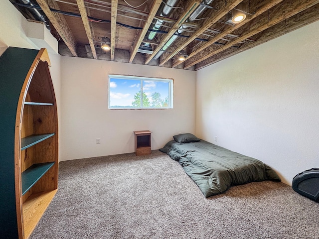 48285 229th Ave, Clearbrook, MN 56634 - view of carpeted bedroom