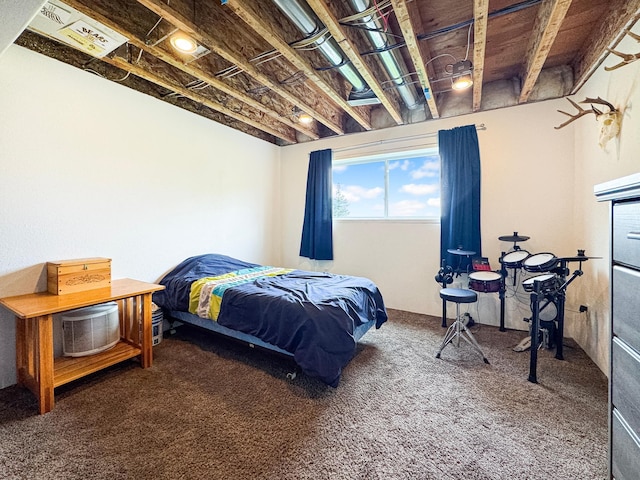 48285 229th Ave, Clearbrook, MN 56634 - view of carpeted bedroom