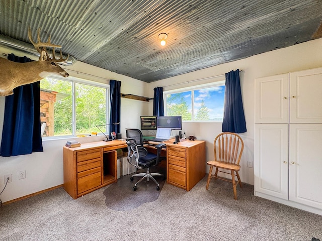 48285 229th Ave, Clearbrook, MN 56634 - office area with baseboards and light carpet
