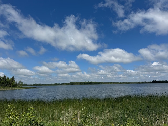48285 229th Ave, Clearbrook, MN 56634 - water view