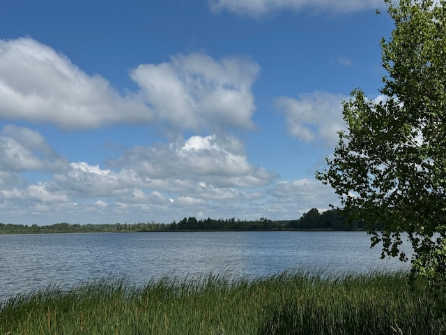 48285 229th Ave, Clearbrook, MN 56634 - water view