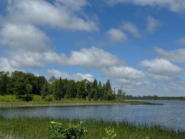 48285 229th Ave, Clearbrook, MN 56634 - water view