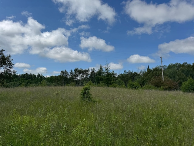 48285 229th Ave, Clearbrook, MN 56634 - view of undeveloped land
