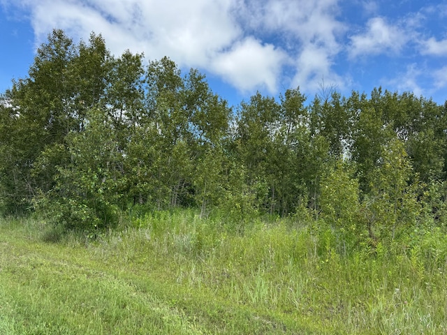 48285 229th Ave, Clearbrook, MN 56634 - view of local wilderness