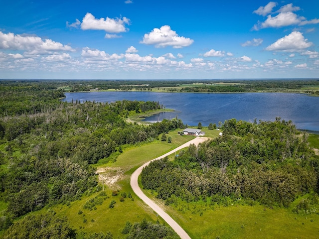 48285 229th Ave, Clearbrook, MN 56634 - bird's eye view of a large body of water