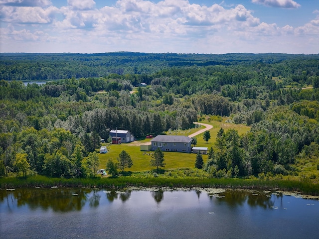 48285 229th Ave, Clearbrook, MN 56634 - view of subject property with a nearby body of water