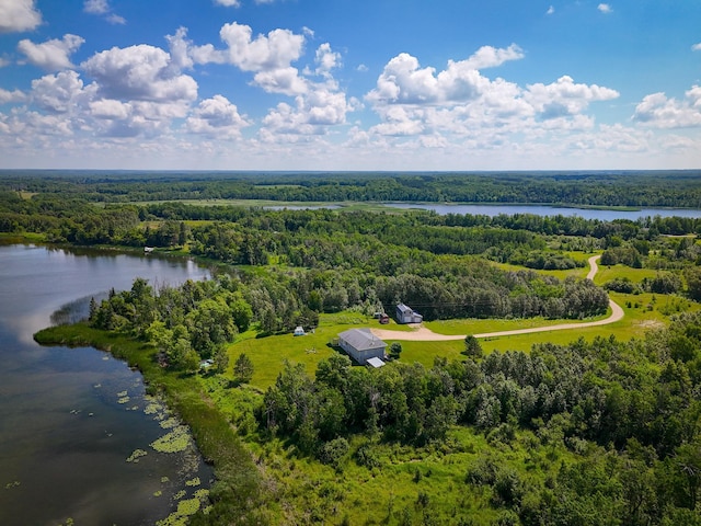 48285 229th Ave, Clearbrook, MN 56634 - bird's eye view of a forest and a nearby body of water