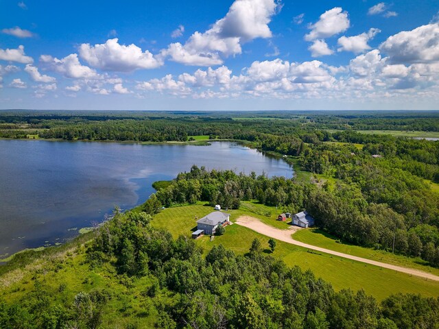 48285 229th Ave, Clearbrook, MN 56634 - bird's eye view of a heavily wooded area and a nearby body of water
