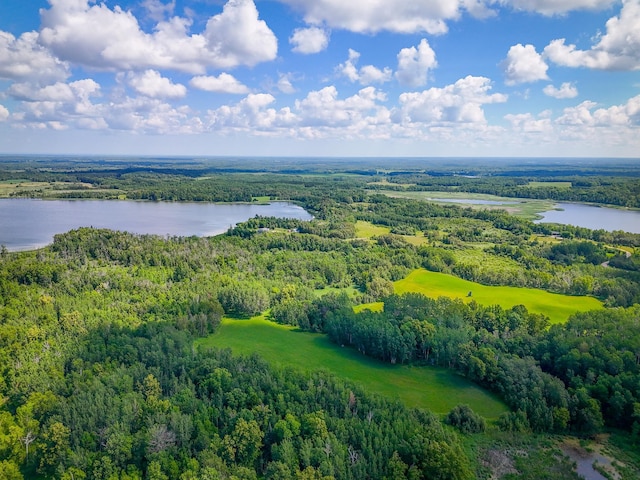 48285 229th Ave, Clearbrook, MN 56634 - bird's eye view of a large body of water and a heavily wooded area