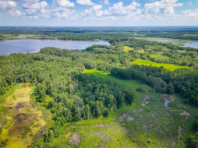 48285 229th Ave, Clearbrook, MN 56634 - aerial view of a large body of water and a heavily wooded area