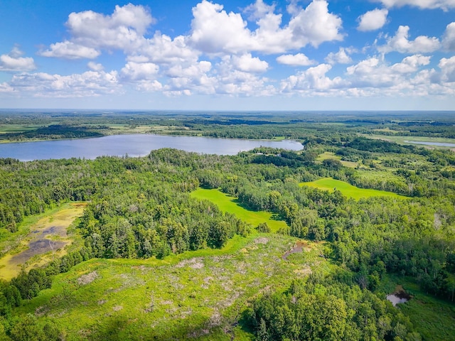 48285 229th Ave, Clearbrook, MN 56634 - bird's eye view of a nearby body of water and a heavily wooded area